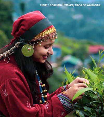 Activities in Darjeeling