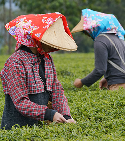 Traditions & Festivals